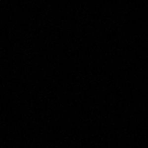 Meet your Posher, Miriam